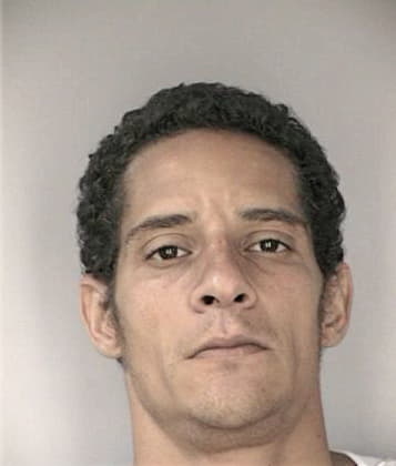 Armando Pulido, - Hillsborough County, FL 