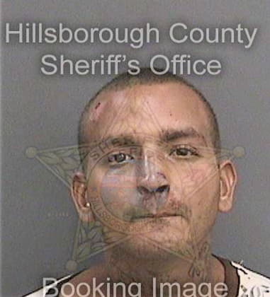 Nicholas Toledomurray, - Hillsborough County, FL 