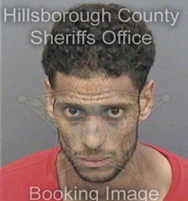 Lisandro Chillvelazquez - Hillsborough County, FL 