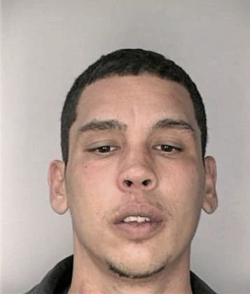 Mario Christo - Hillsborough County, FL 