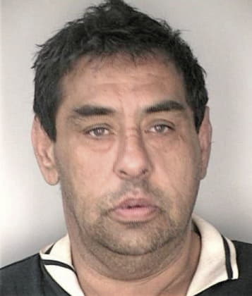 Jesus Hernandezmedina - Hillsborough County, FL 
