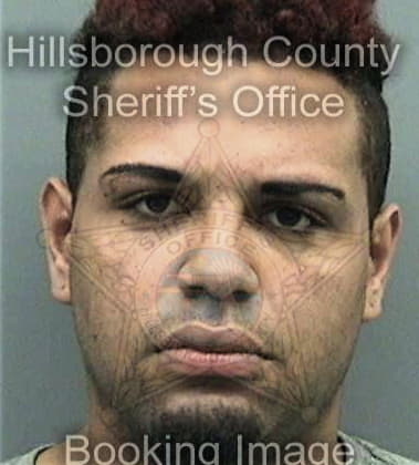 Gregg Lerner, - Hillsborough County, FL 