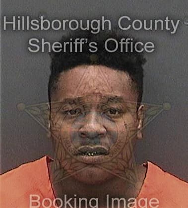 Dominique Lewis, - Hillsborough County, FL 