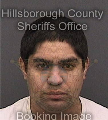 Ryan Mangelsdorf, - Hillsborough County, FL 