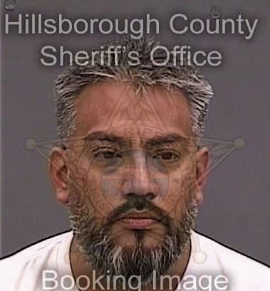 Ervin Mejiamorales - Hillsborough County, FL 