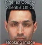 Edgardo Pena-Sepulveda, - Pinellas County, FL 