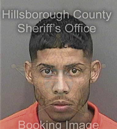 Michael Underwood, - Hillsborough County, FL 