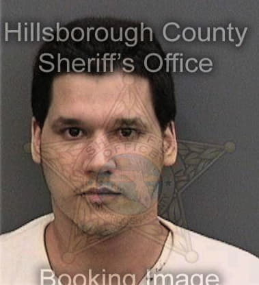 Bradley Vaughn, - Hillsborough County, FL 