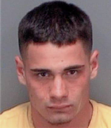 Claudio Bernini, - Pinellas County, FL 