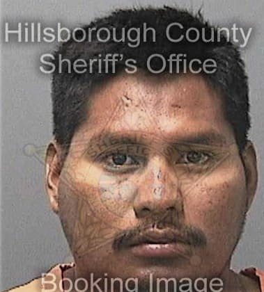 Keith Cloonen - Hillsborough County, FL 