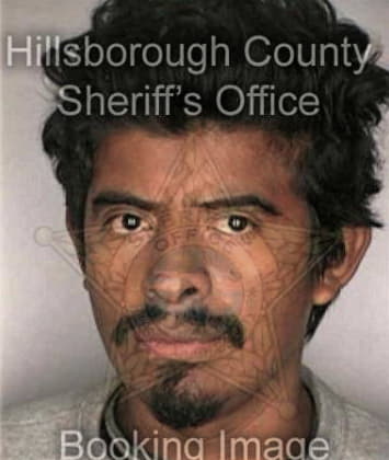 Nicolas Crispinnolasco, - Hillsborough County, FL 