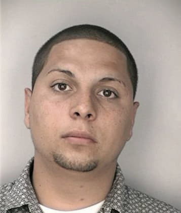 Wilmer Guerrero, - Hillsborough County, FL 