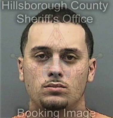 Robert Hornsby, - Hillsborough County, FL 