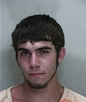 Albert Landgren, - Marion County, FL 