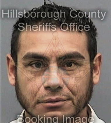Alvino Mendoza - Hillsborough County, FL 