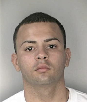 Wilfredo Mercado - Hillsborough County, FL 