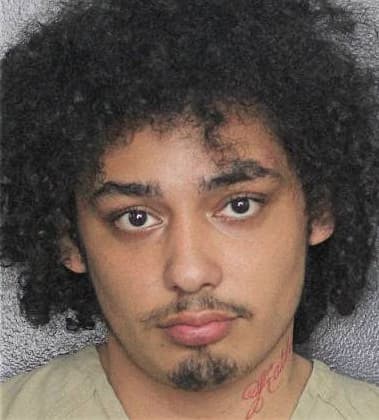 Carlos Peralta-Sanchez, - Broward County, FL 