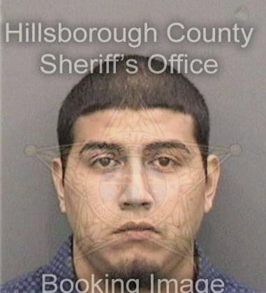 Jovany Irlanda, - Hillsborough County, FL 