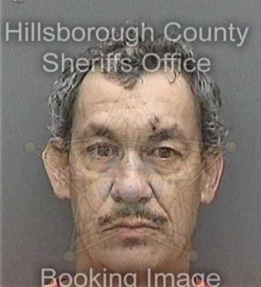 Michael Lobatto, - Hillsborough County, FL 