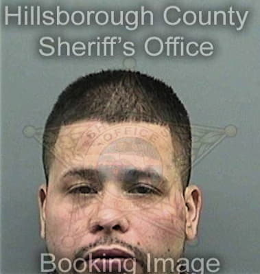 Terrance Mieczko - Hillsborough County, FL 