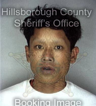 Prathon Mokmyed, - Hillsborough County, FL 