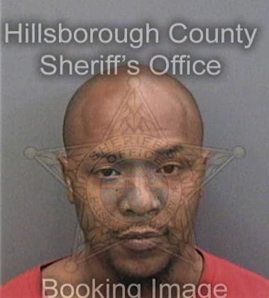 Ryan Williams, - Hillsborough County, FL 