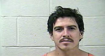 Jose Arredondo, - Daviess County, KY 