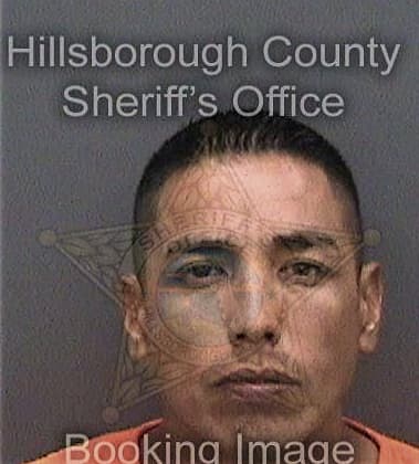 Timothy Blattner - Hillsborough County, FL 