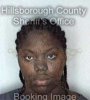 Renee Bogdan - Hillsborough County, FL 