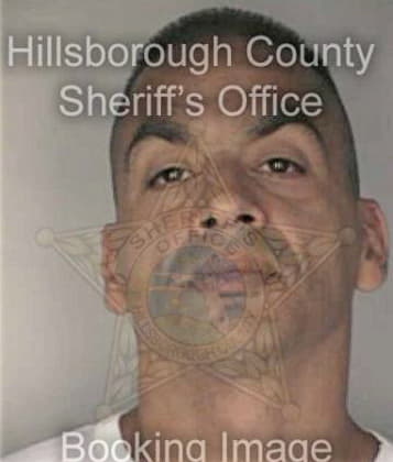 Onel Garcia, - Hillsborough County, FL 