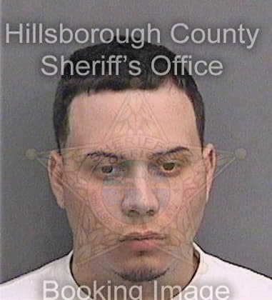 Neil Gibson, - Hillsborough County, FL 