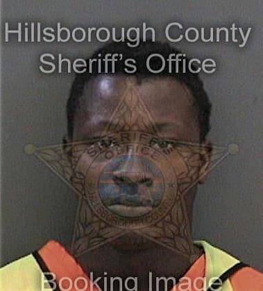 Kenneth King, - Hillsborough County, FL 