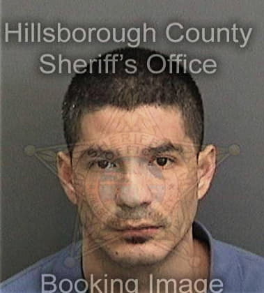 Alexander Malavenieves, - Hillsborough County, FL 