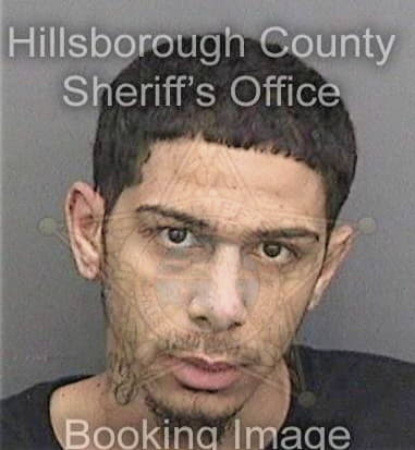 Nathaniel McQuay - Hillsborough County, FL 