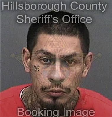 Omar Montesino, - Hillsborough County, FL 