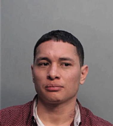 Brayan Pobletenavarro, - Dade County, FL 