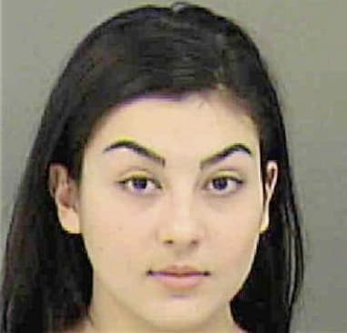 Pamela Rogers - Mecklenburg County, NC 