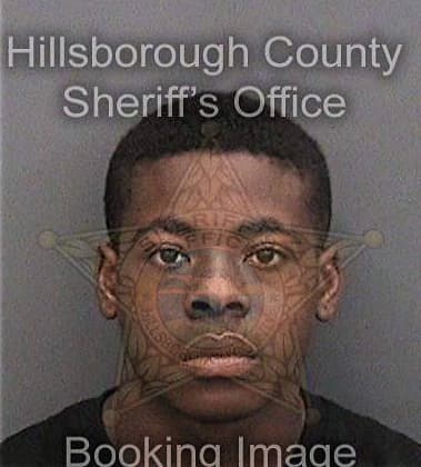 Kervins Thelus, - Hillsborough County, FL 