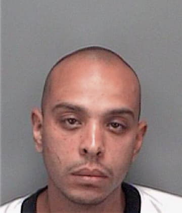 Ramon Vega, - Pinellas County, FL 