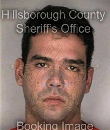 Robert Wilce - Hillsborough County, FL 