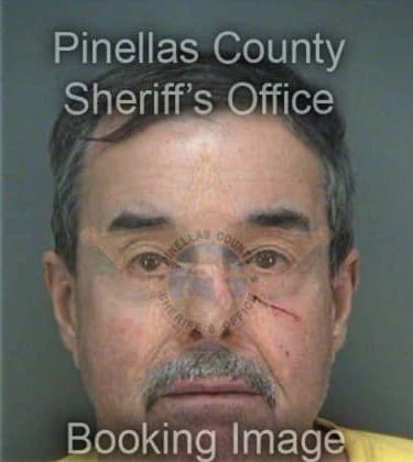 Richard Wild, - Pinellas County, FL 