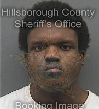 Shon Wilson, - Hillsborough County, FL 