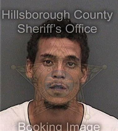 Ryan Baldasare, - Hillsborough County, FL 