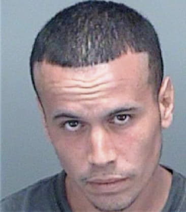 Christopher Bandura, - Pinellas County, FL 