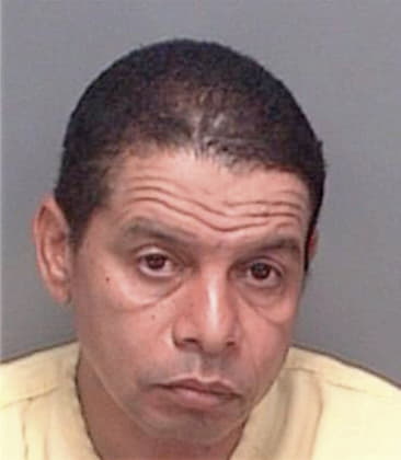 Jesus Bartolomejia, - Pinellas County, FL 