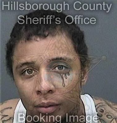 Reginald Billington - Hillsborough County, FL 