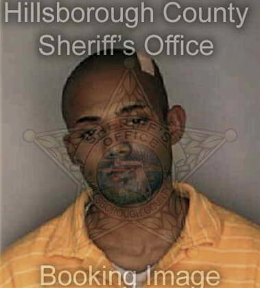 Ervin Bradshaw - Hillsborough County, FL 