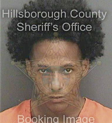 Demetrius Johnson, - Hillsborough County, FL 