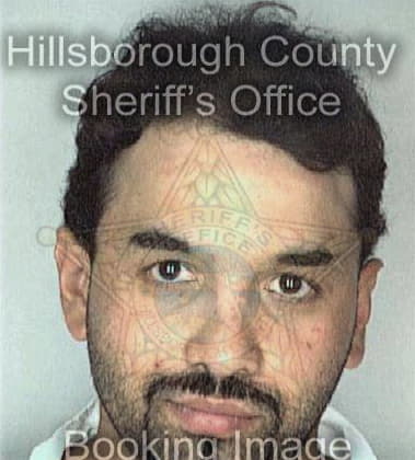 Felix Vasallojulia, - Hillsborough County, FL 