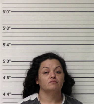 Brisaida Atayde-Ontiveros, - Kerr County, TX 